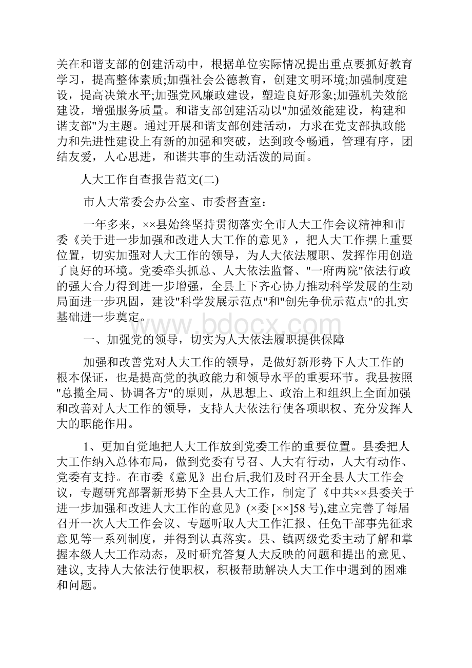 人大工作自查报告.docx_第3页