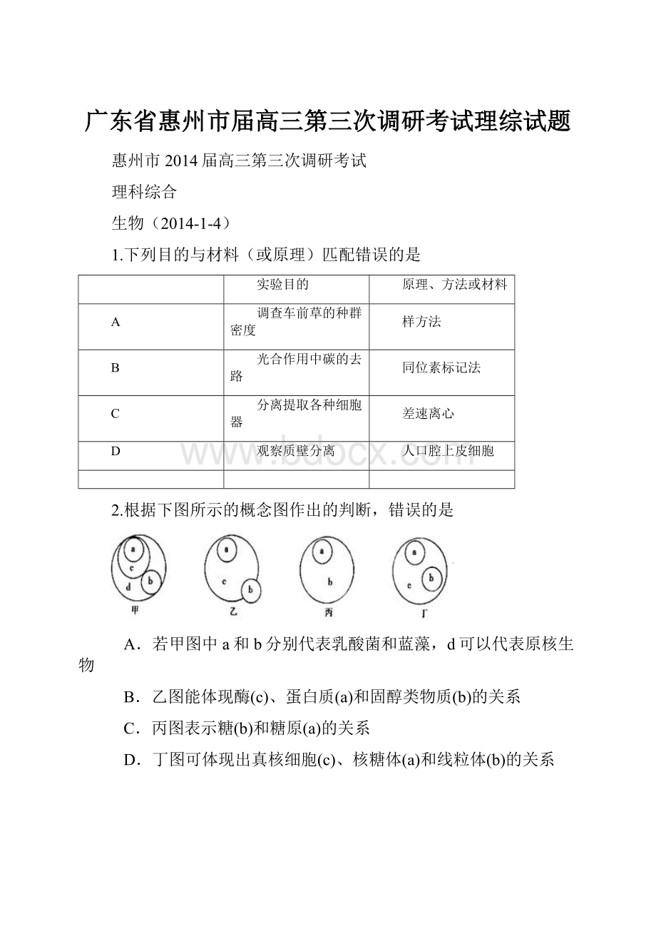 广东省惠州市届高三第三次调研考试理综试题.docx