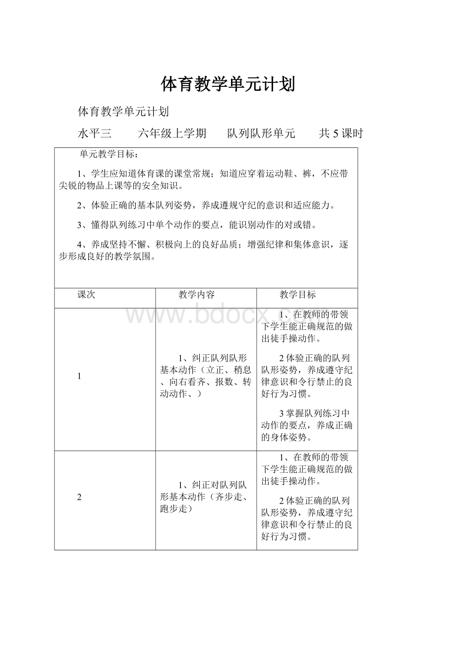 体育教学单元计划.docx