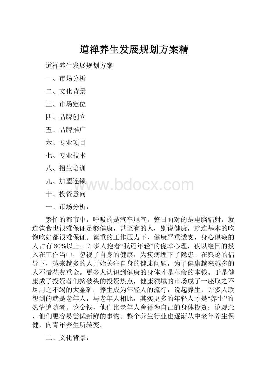 道禅养生发展规划方案精.docx