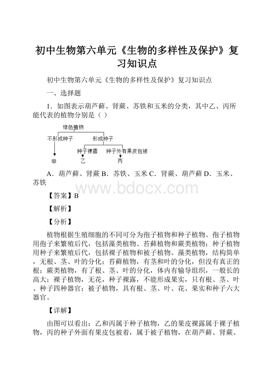 初中生物第六单元《生物的多样性及保护》复习知识点.docx_第1页