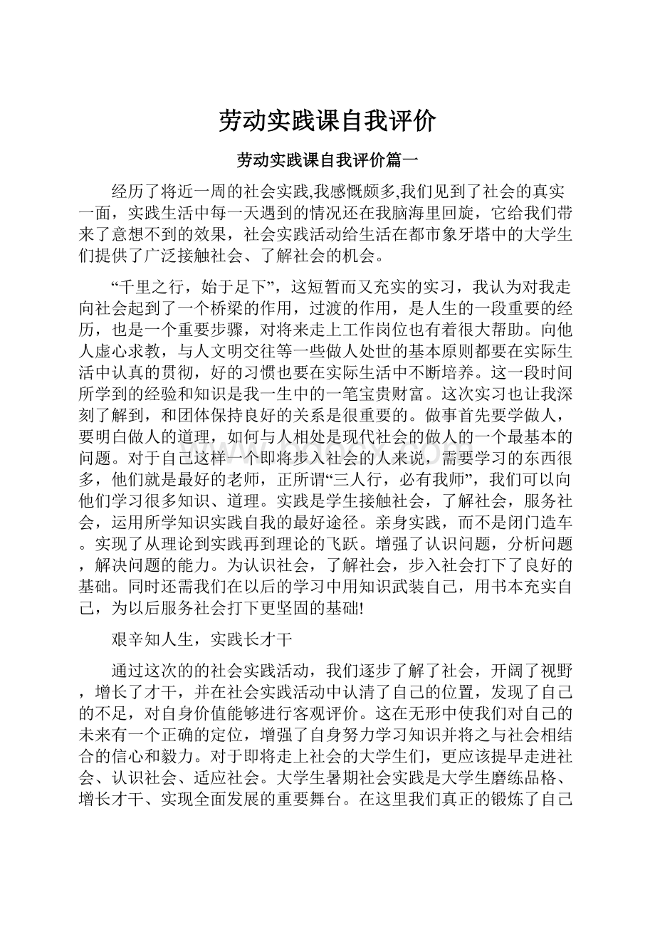 劳动实践课自我评价.docx