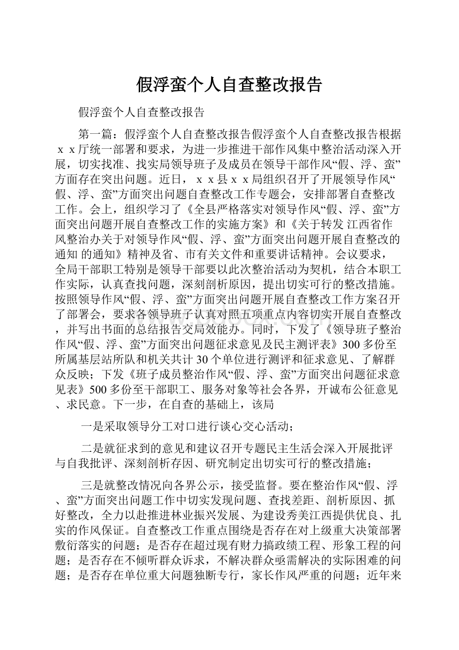 假浮蛮个人自查整改报告.docx