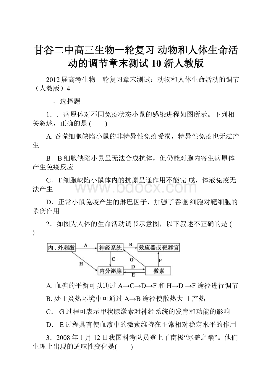 甘谷二中高三生物一轮复习 动物和人体生命活动的调节章末测试10 新人教版.docx_第1页