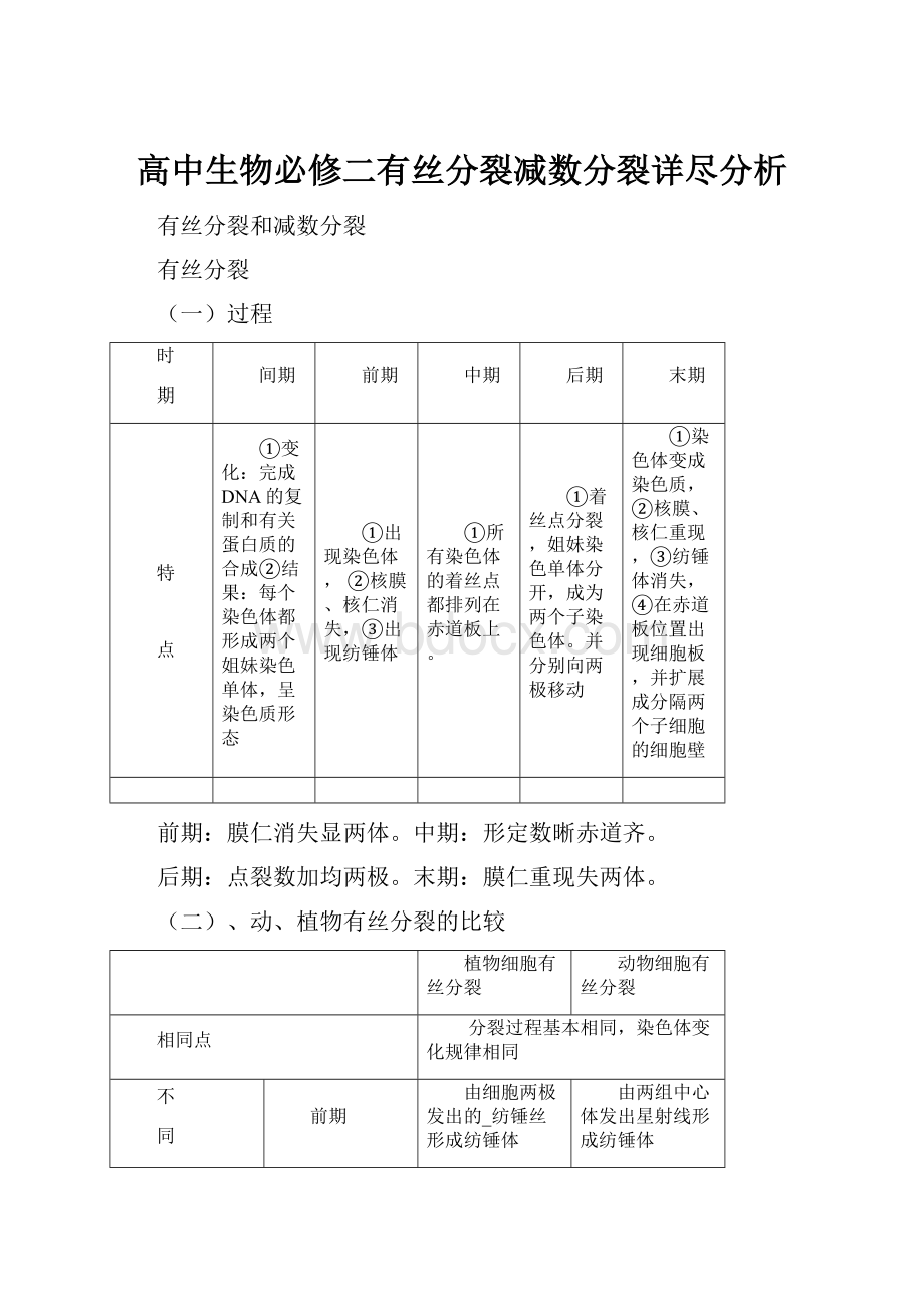 高中生物必修二有丝分裂减数分裂详尽分析.docx