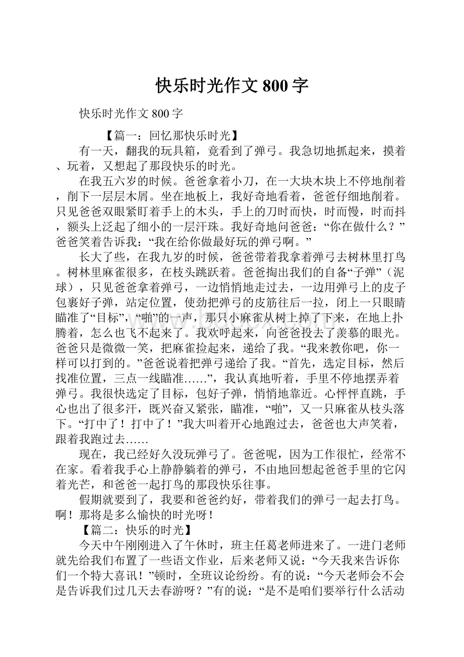 快乐时光作文800字.docx