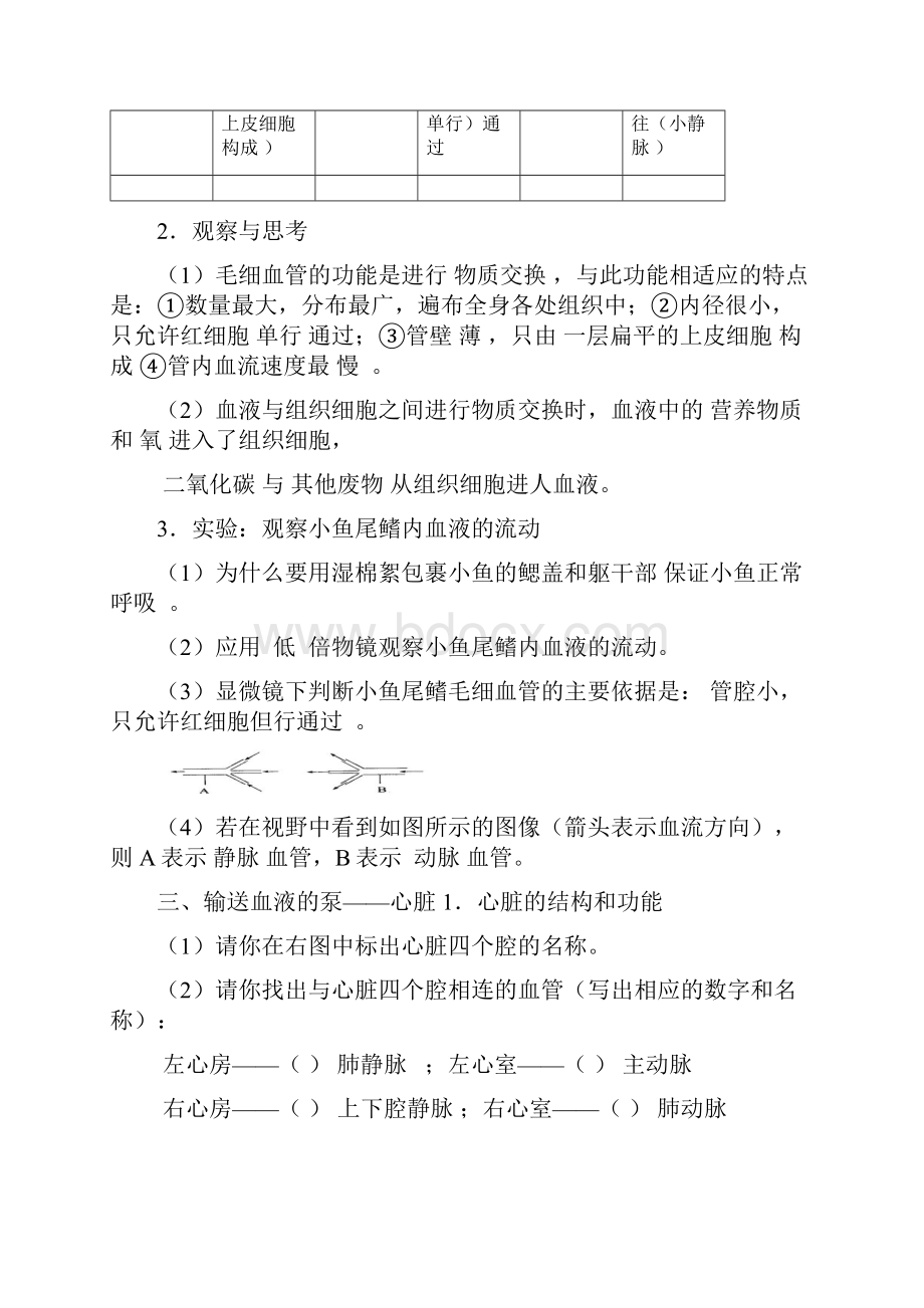 血液循环知识点和题目答案.docx_第3页