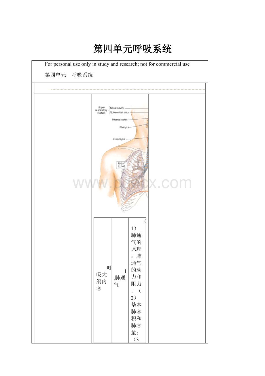 第四单元呼吸系统.docx