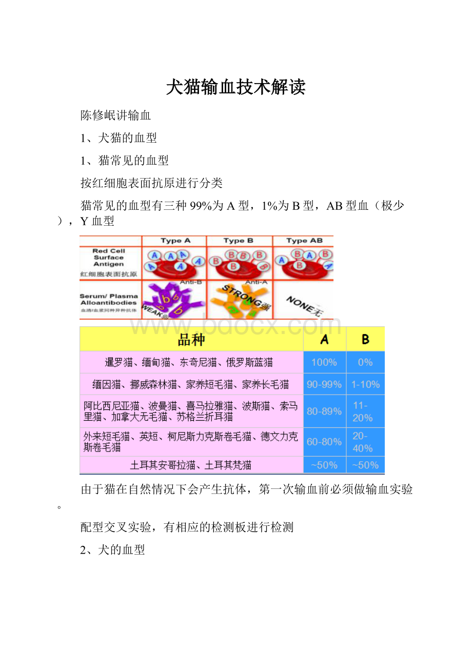 犬猫输血技术解读.docx_第1页