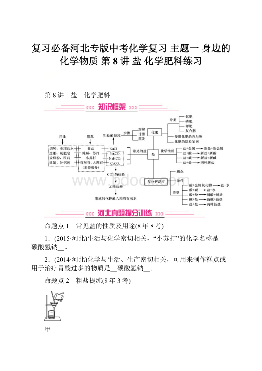 复习必备河北专版中考化学复习 主题一 身边的化学物质 第8讲 盐 化学肥料练习.docx_第1页