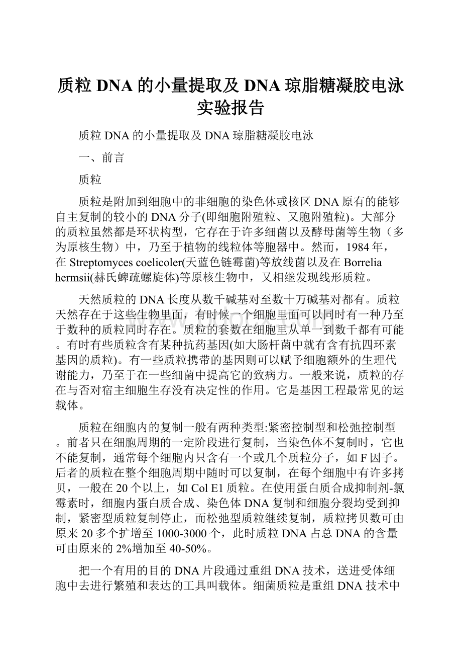 质粒DNA的小量提取及DNA琼脂糖凝胶电泳实验报告.docx_第1页