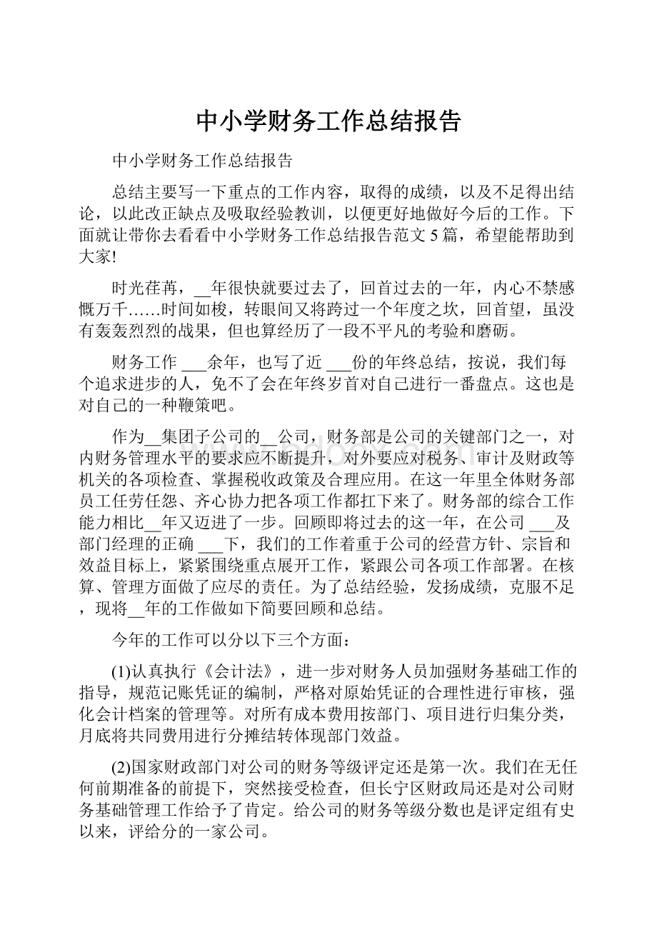 中小学财务工作总结报告.docx