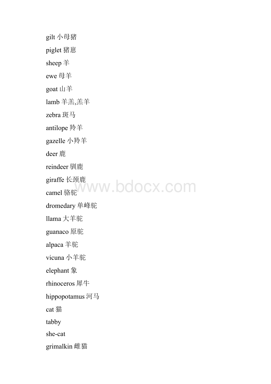 动物名字大全.docx_第2页