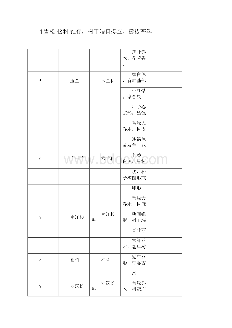 西安常见园林绿化干乔灌木.docx_第2页