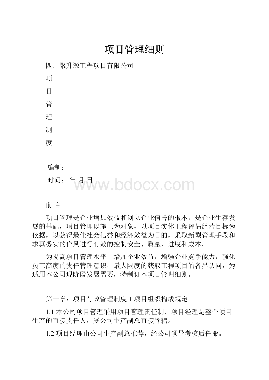 项目管理细则.docx