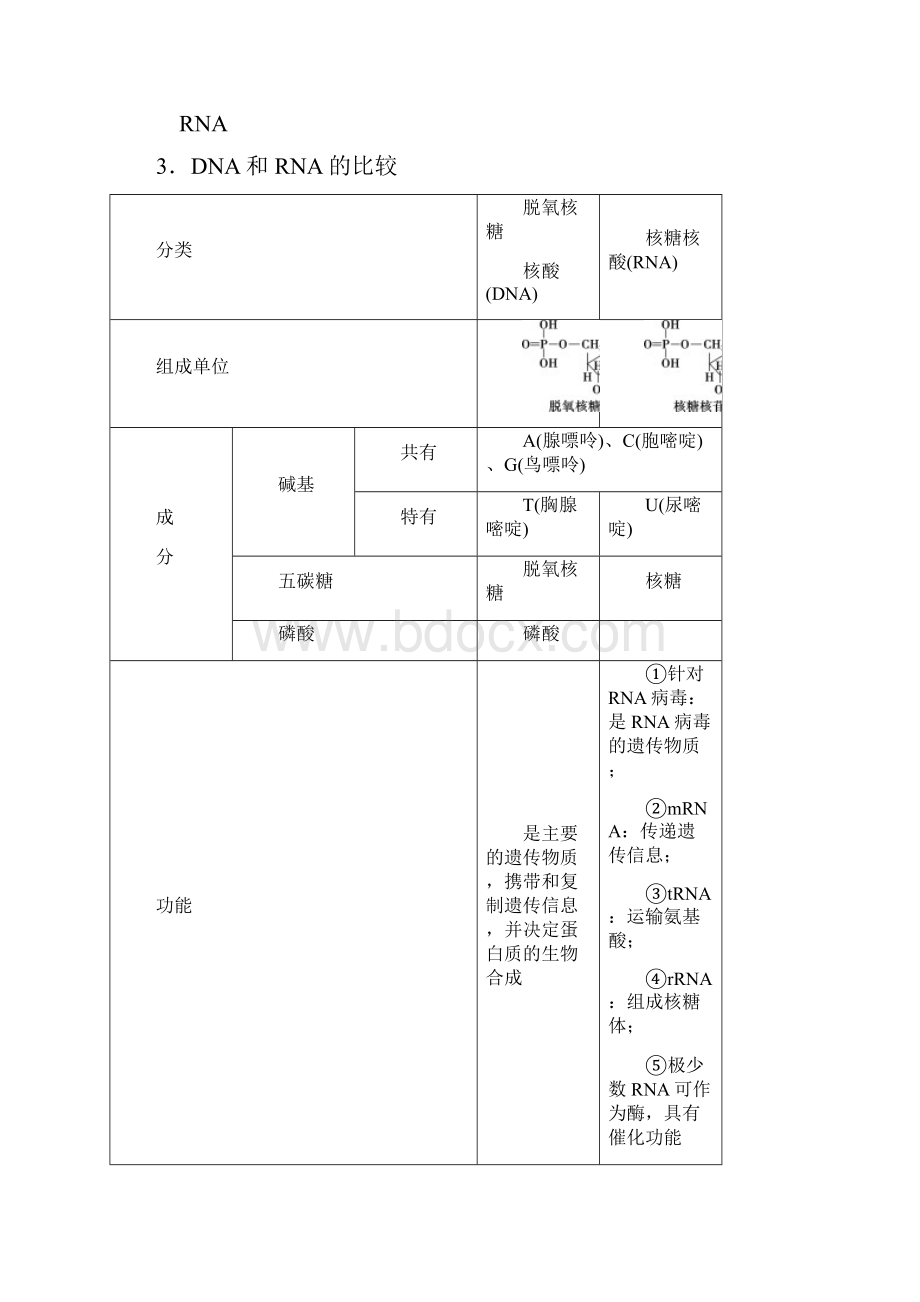 备战高考生物一轮复习第4讲 核酸与细胞中的糖类和脂质 讲义.docx_第2页