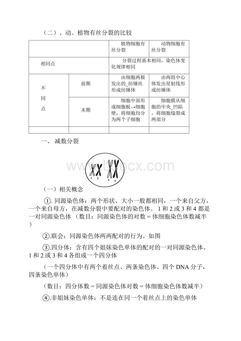 高中生物必修二有丝分裂减数分裂详尽分析.docx_第2页