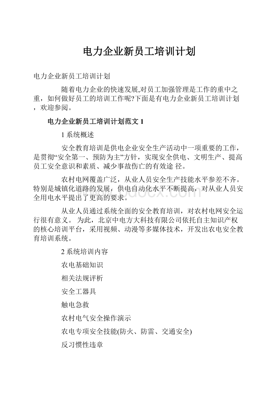 电力企业新员工培训计划.docx