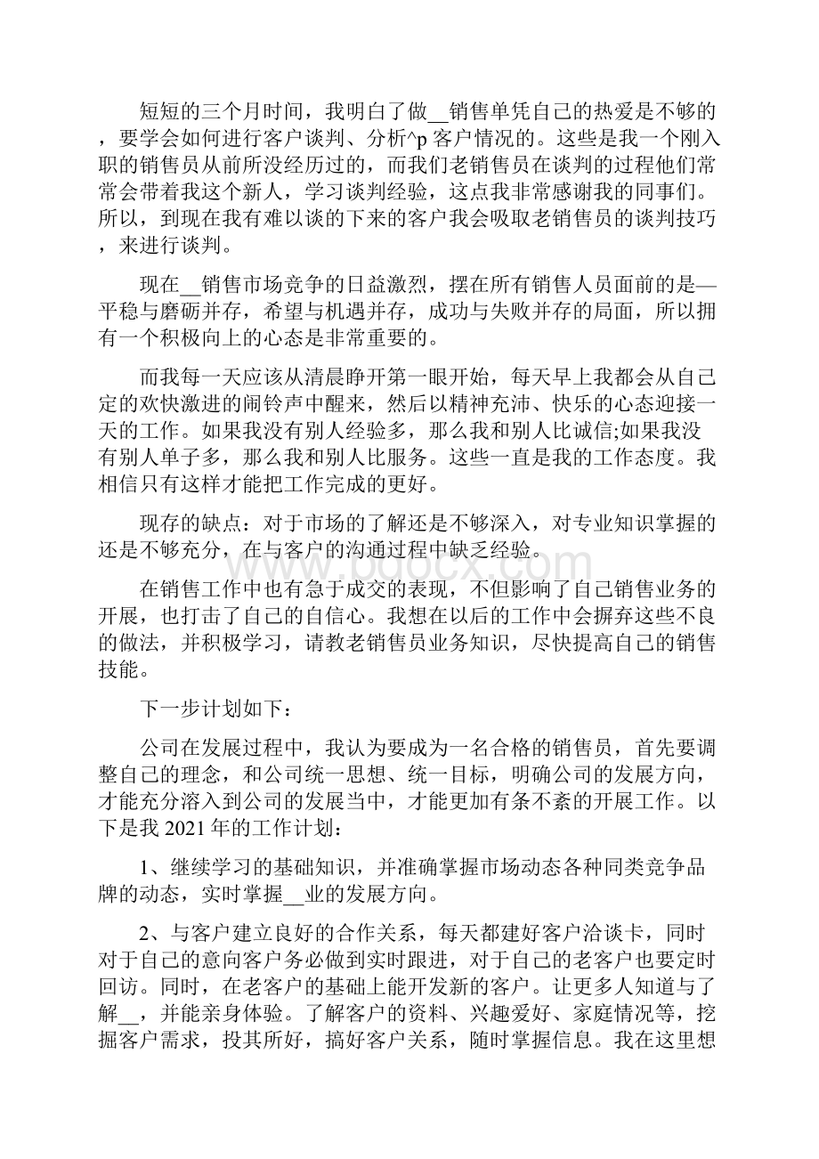 销售实习生工作总结.docx_第3页