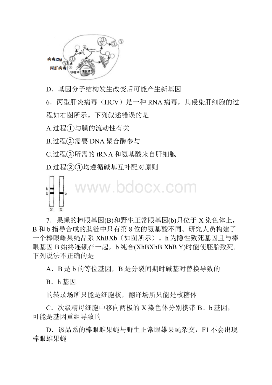 广州市高中毕业班生物三模测试.docx_第3页