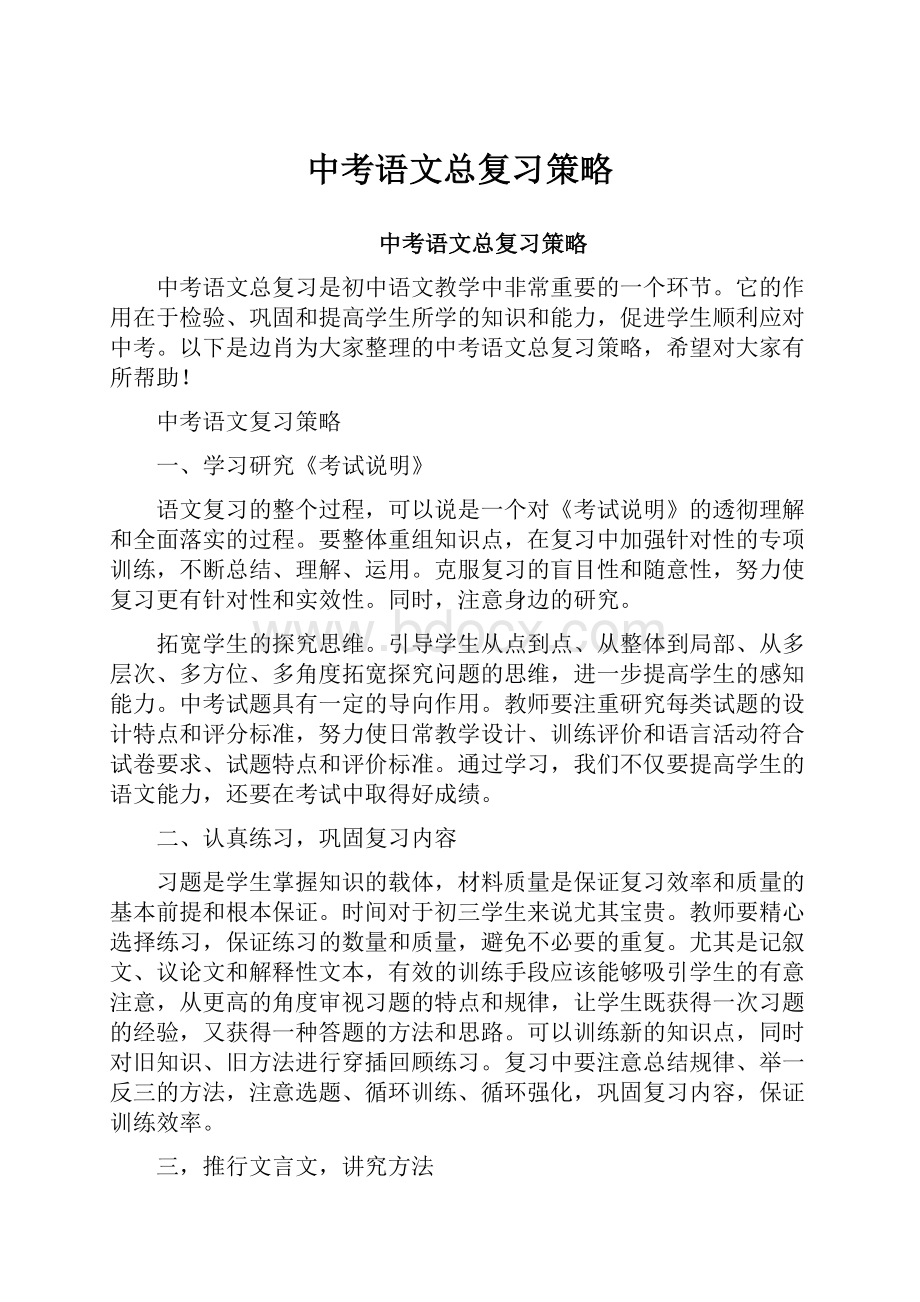 中考语文总复习策略.docx_第1页