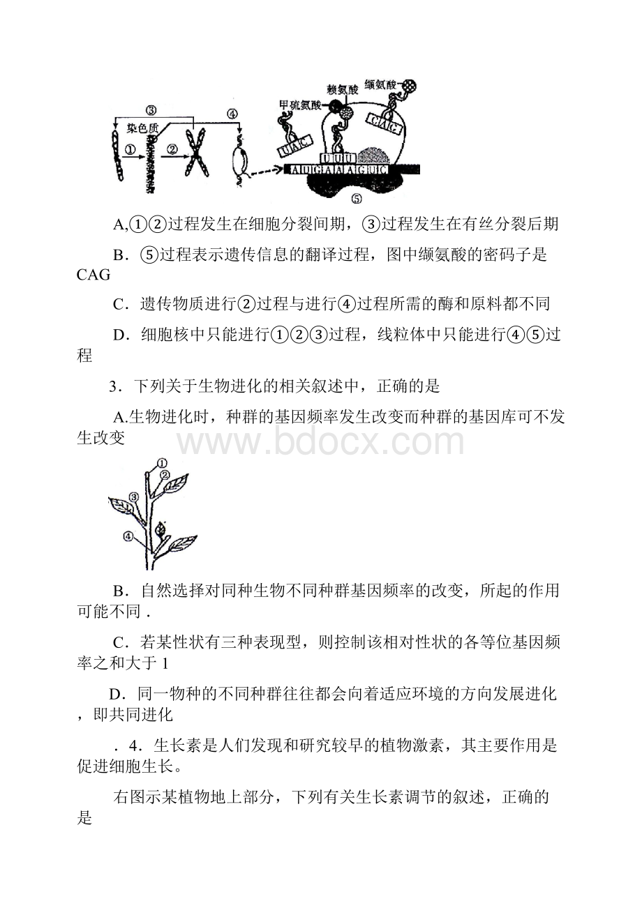 安徽省部分高中皖南八校届高三第三次联考 理科综合.docx_第2页