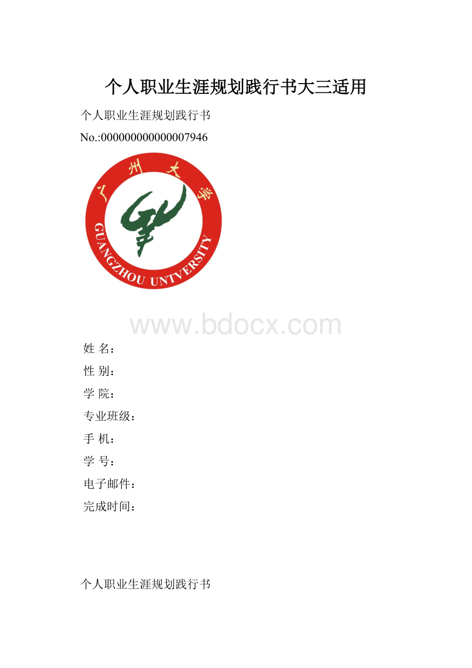 个人职业生涯规划践行书大三适用.docx_第1页