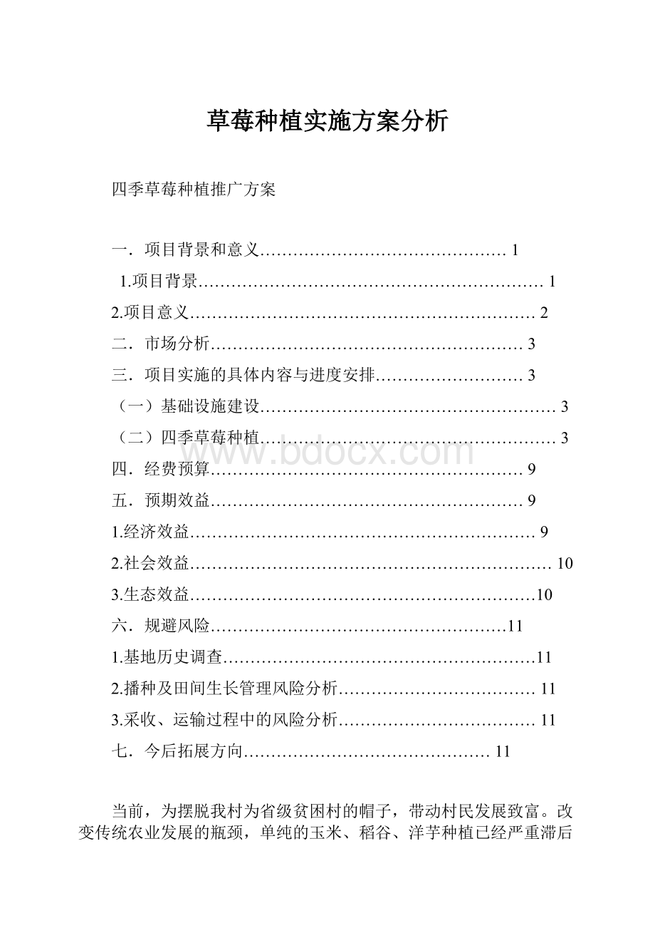 草莓种植实施方案分析.docx