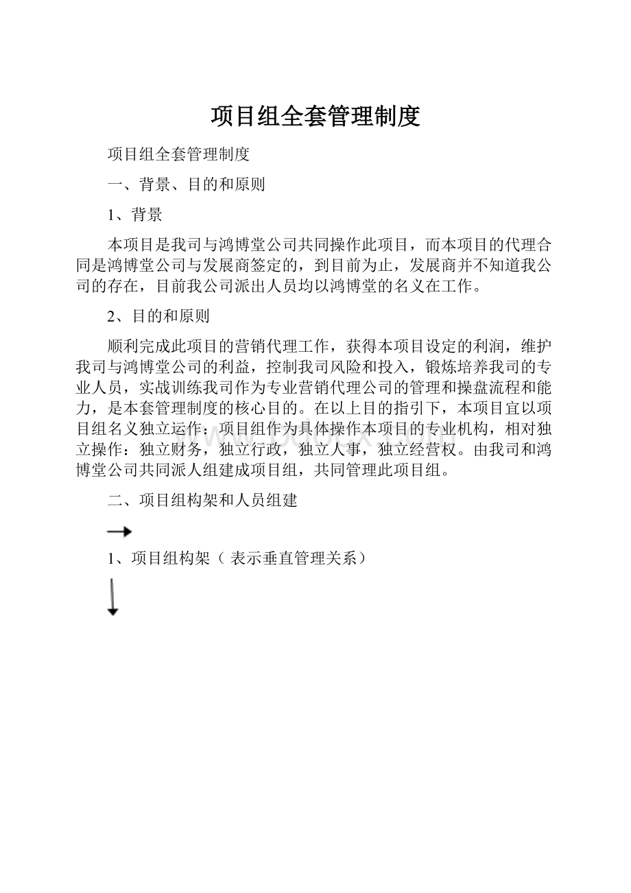 项目组全套管理制度.docx_第1页