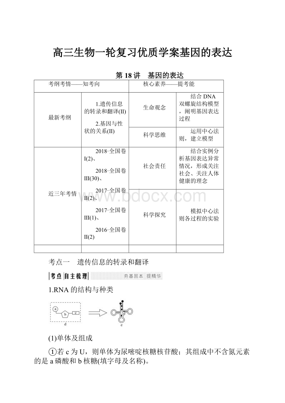 高三生物一轮复习优质学案基因的表达.docx