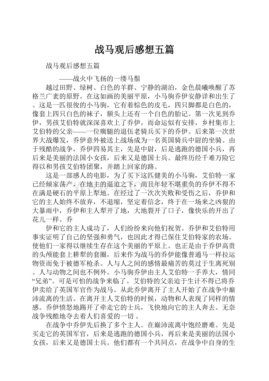 战马观后感想五篇.docx