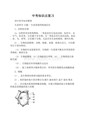 中考知识点复习.docx