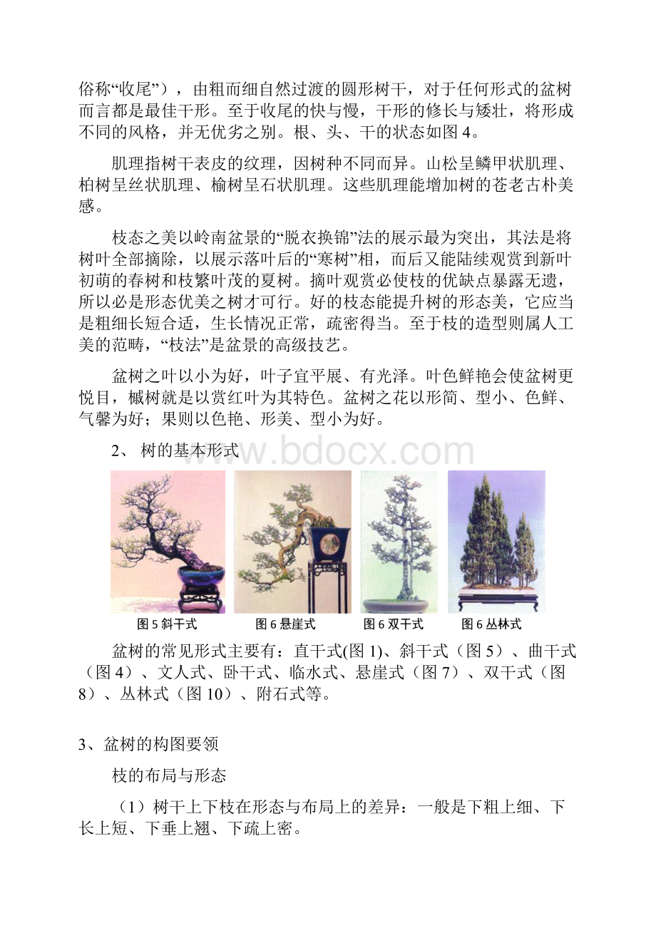 树木盆景鉴赏.docx_第3页