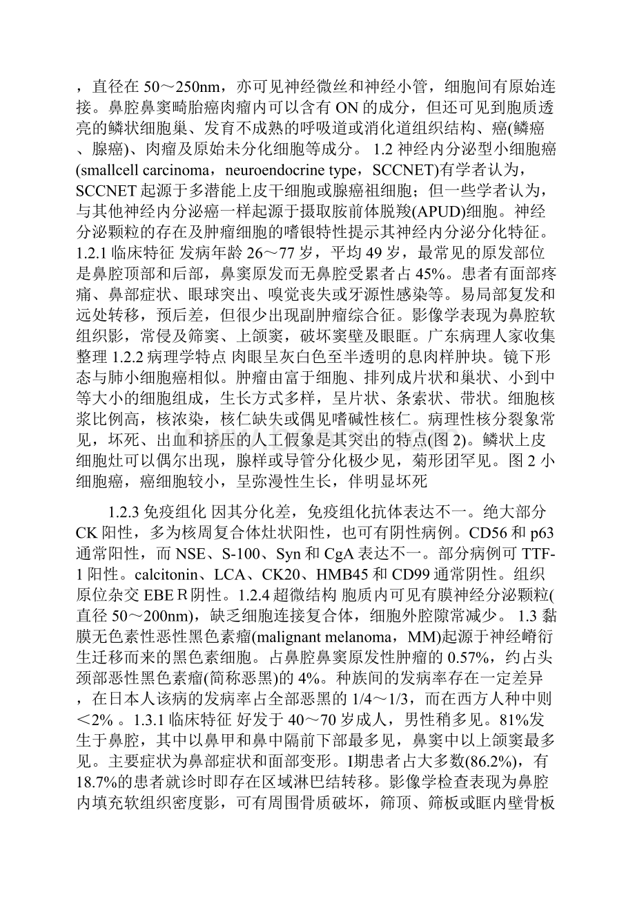 019鼻腔鼻窦小圆细胞恶性肿瘤的病理诊断及鉴别诊断刘红刚.docx_第3页