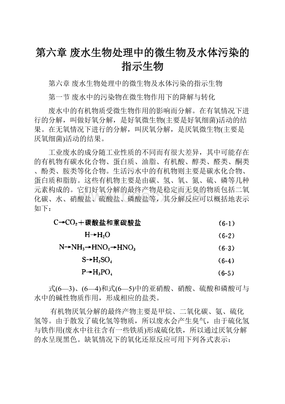 第六章废水生物处理中的微生物及水体污染的指示生物.docx_第1页