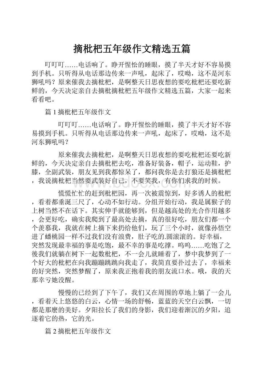 摘枇杷五年级作文精选五篇.docx_第1页