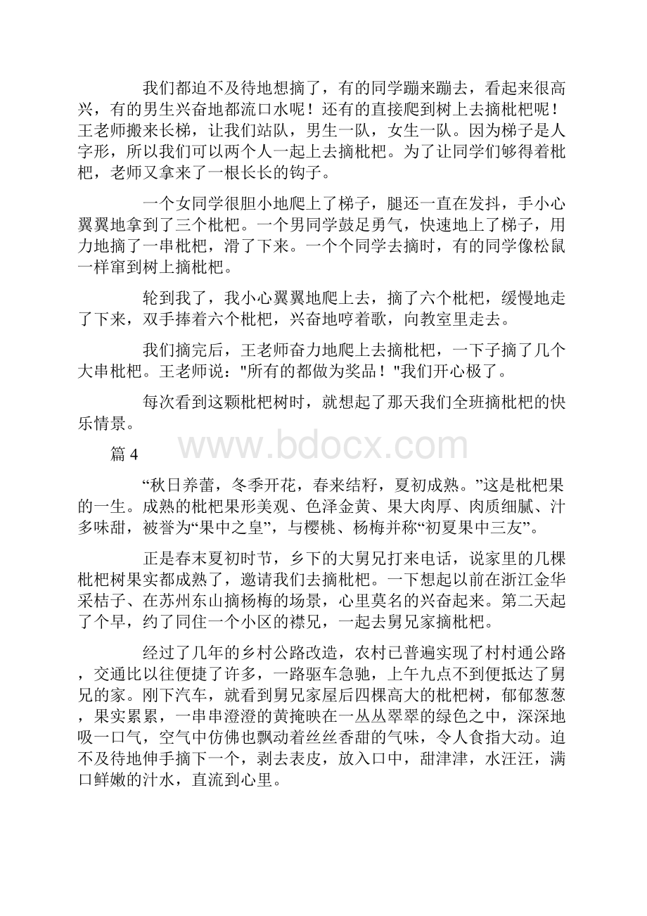 摘枇杷五年级作文精选五篇.docx_第3页