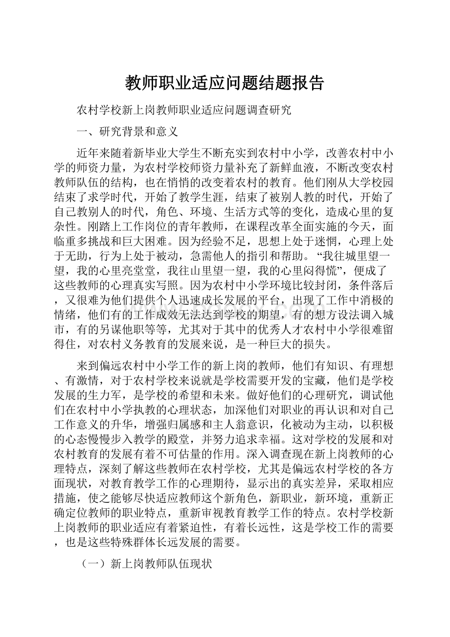 教师职业适应问题结题报告.docx