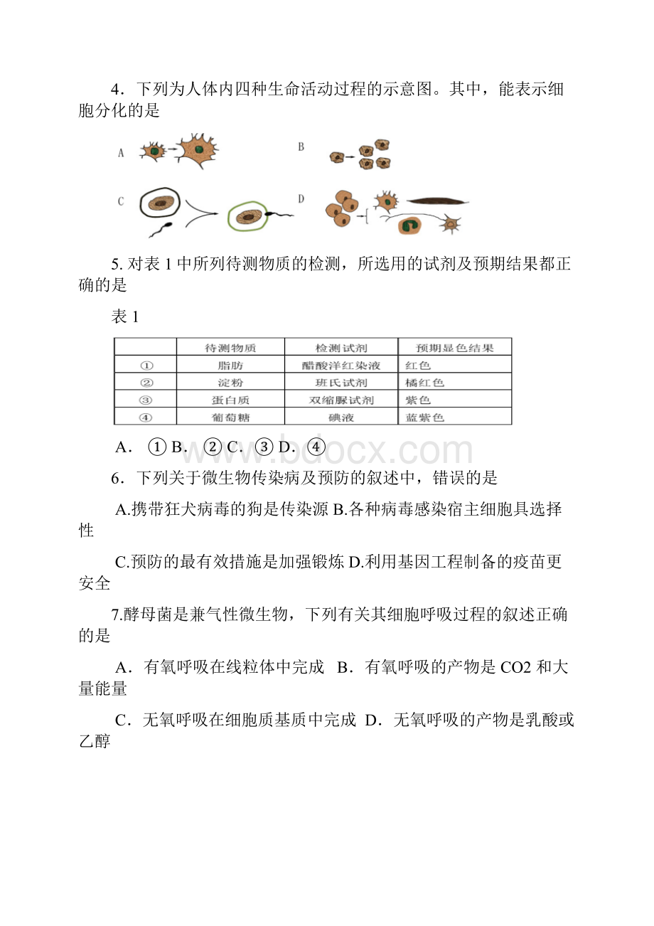 上海市长宁区高二高三第一学期期末一模学科质量检测生物试题及答案word版.docx_第2页