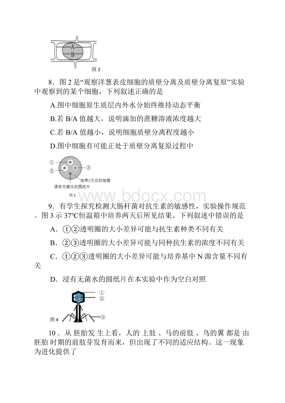 上海市长宁区高二高三第一学期期末一模学科质量检测生物试题及答案word版.docx_第3页