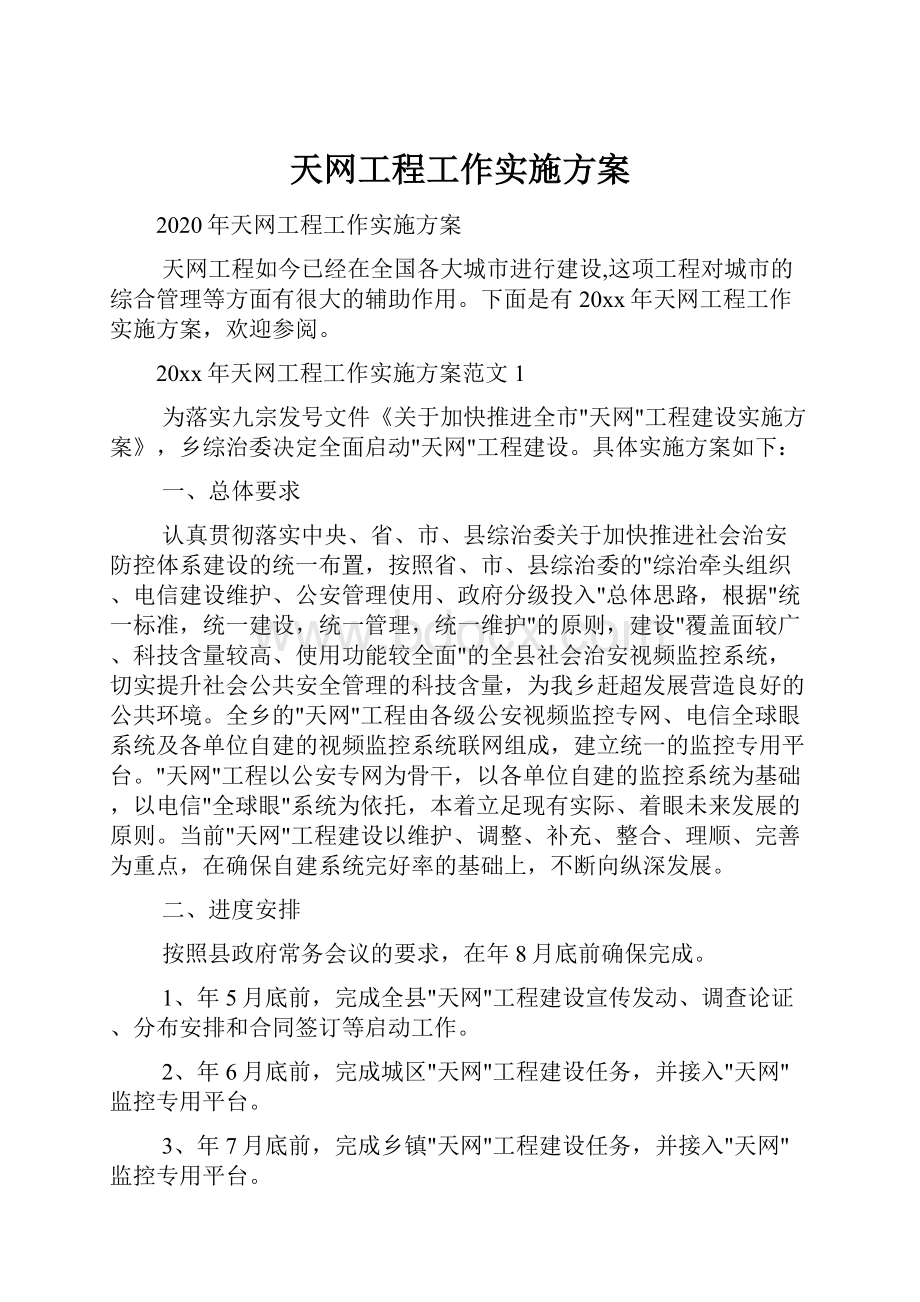 天网工程工作实施方案.docx_第1页