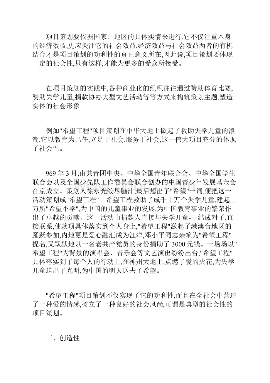 项目策划特征与原则.docx_第3页