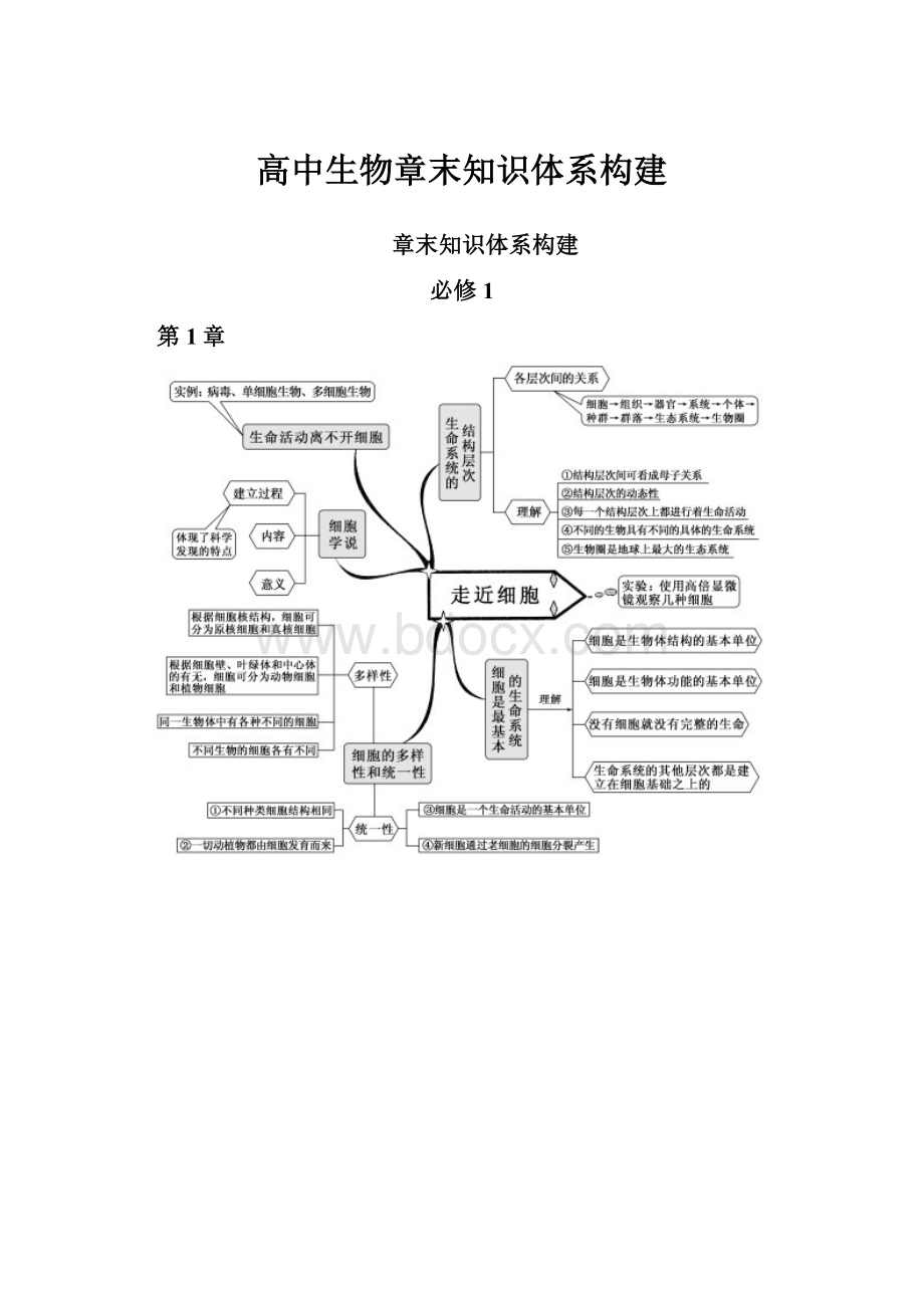 高中生物章末知识体系构建.docx_第1页