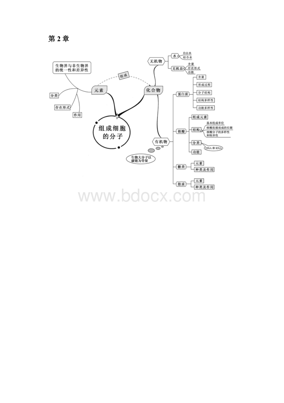 高中生物章末知识体系构建.docx_第2页