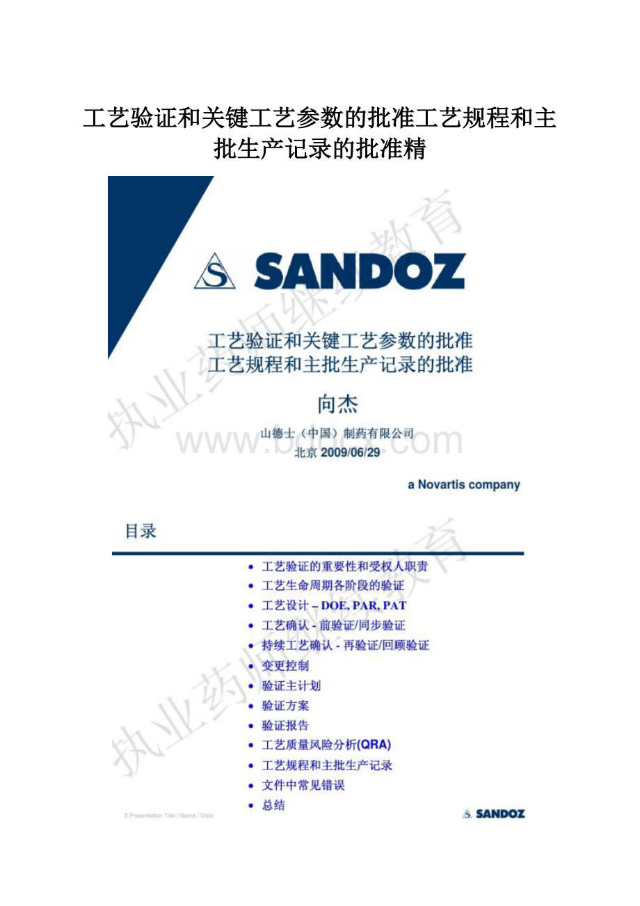 工艺验证和关键工艺参数的批准工艺规程和主批生产记录的批准精.docx