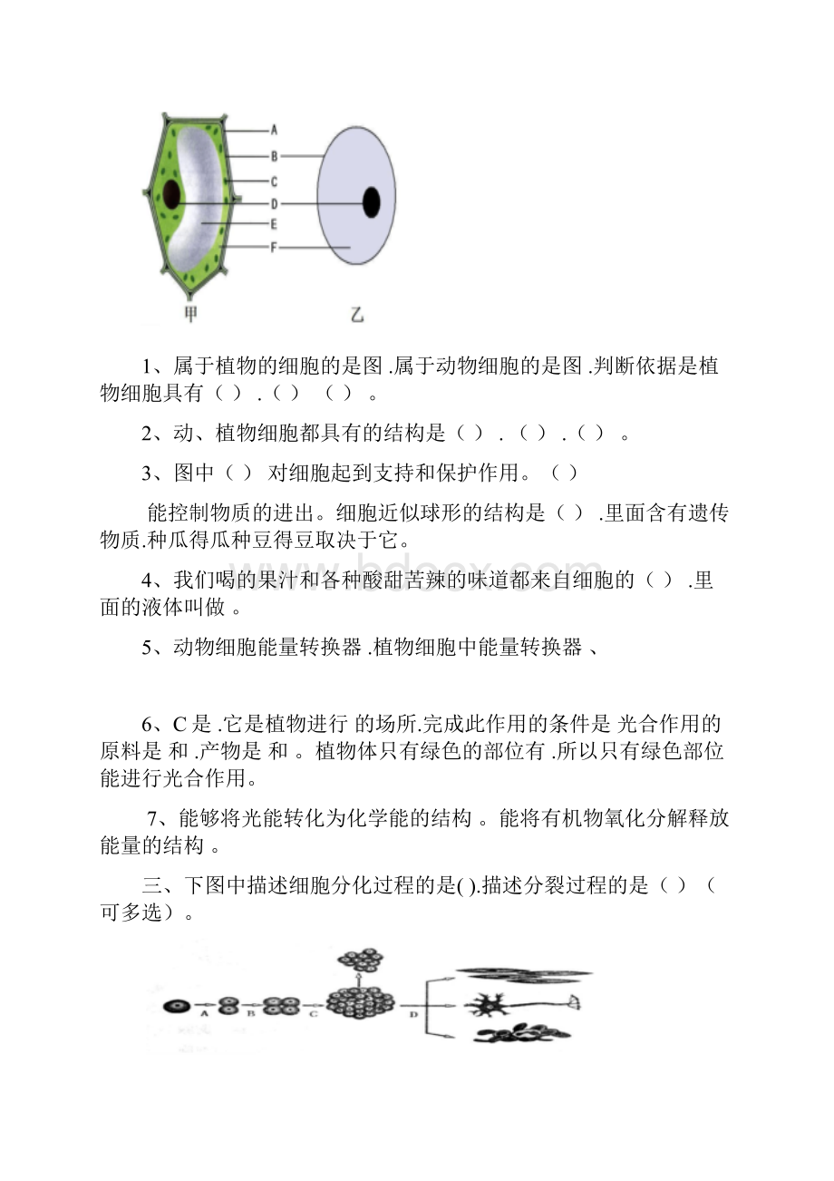 初中生物识图实验和答案.docx_第2页