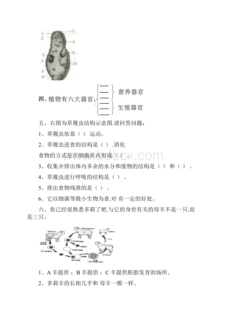 初中生物识图实验和答案.docx_第3页