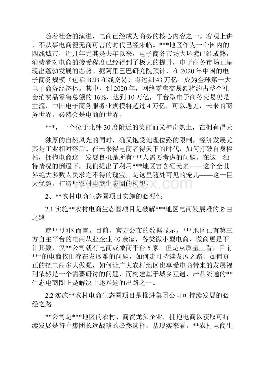 完美农村电商项目可行性研究报告.docx_第3页