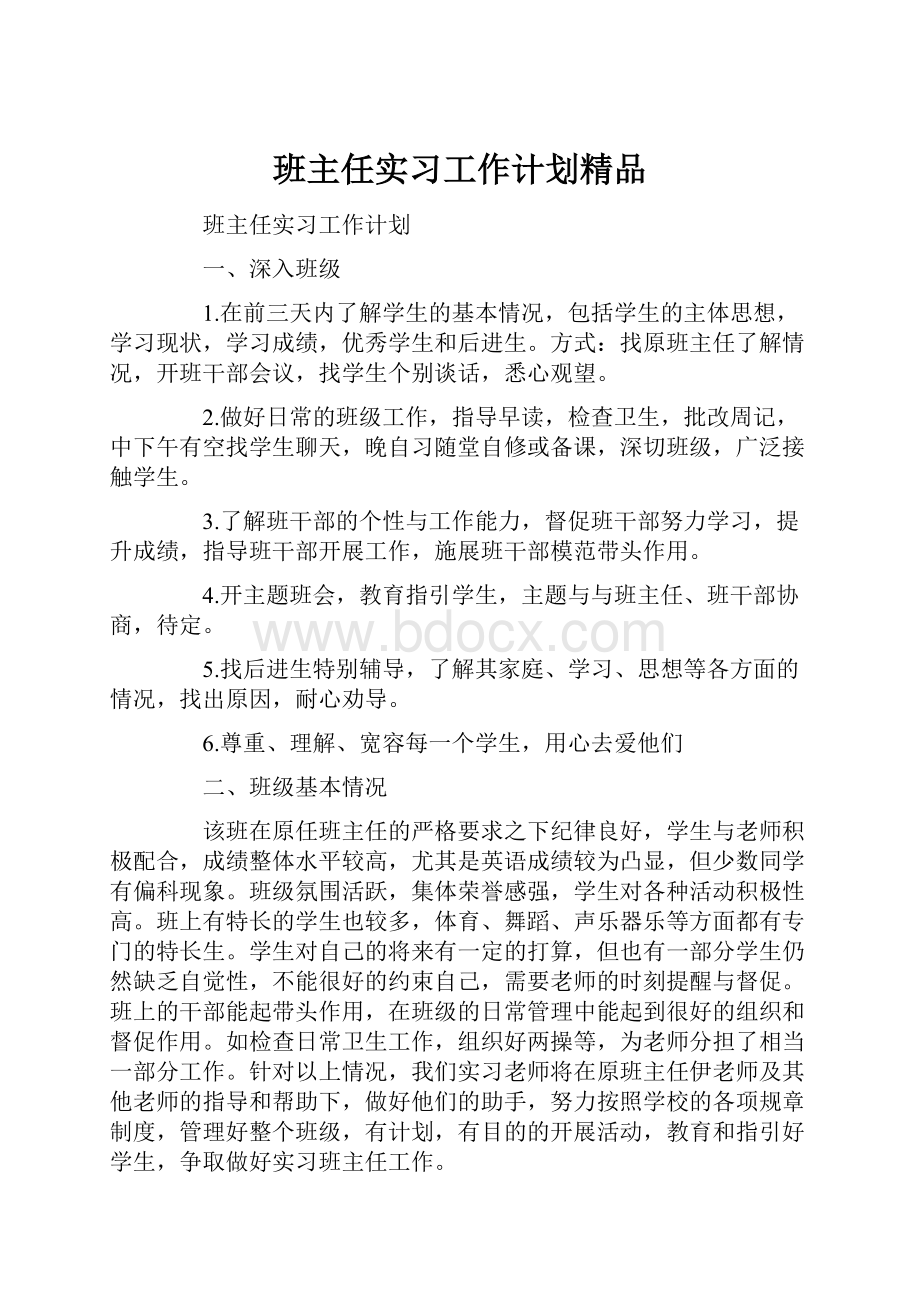 班主任实习工作计划精品.docx