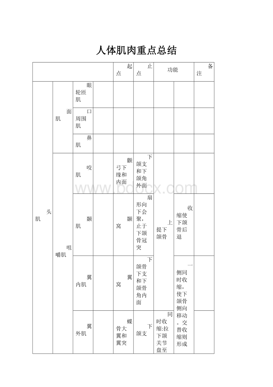 人体肌肉重点总结.docx